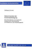 Determinanten der Erwerbsbeteiligung di Wolfgang Cornetz edito da Lang, Peter GmbH