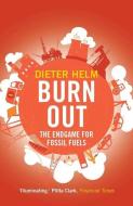 Burn Out di Dieter Helm edito da Yale University Press