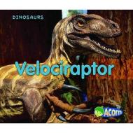 Velociraptor di Daniel Nunn edito da Capstone Global Library Ltd
