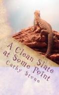 A Clean Slate at Some Point di MS Cathy M. Stone edito da Createspace