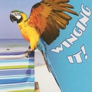Winging It! di Cindy Rodriguez edito da Rourke Publishing (FL)