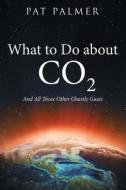 What To Do About Co2 di Pat Palmer edito da Archway Publishing