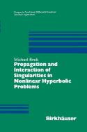 Propagation and Interaction of Singularities in Nonlinear Hyperbolic Problems di Michael Beals edito da Birkhäuser Boston