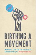 Birthing a Movement: Midwives, Law, and the Politics of Reproductive Care di Renee Ann Cramer edito da STANFORD UNIV PR