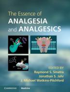 The Essence of Analgesia and Analgesics di Raymond S. Sinatra edito da Cambridge University Press