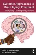 Systemic Approaches To Brain Injury Treatment edito da Taylor & Francis Ltd