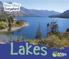 Lakes di Diyan Leake edito da Heinemann Educational Books