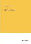 A Little Tour in Ireland di Samuel Reynolds Hole edito da Anatiposi Verlag