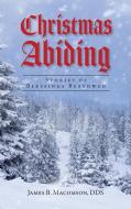 Christmas Abiding di James B. Macomson edito da Warren Publishing, Inc