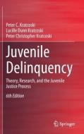 Juvenile Delinquency di Lucille Dunn Kratcoski, Peter Christopher Kratcoski edito da Springer Nature Switzerland Ag