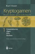 Kryptogamen 1 di Karl Esser edito da Springer Berlin Heidelberg
