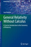 General Relativity Without Calculus di Jose Natario edito da Springer Berlin Heidelberg