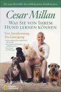 Was Sie von Ihrem Hund lernen können di Cesar Millan edito da NG Buchverlag GmbH