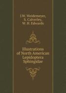 Illustrations Of North American Lepidoptera Sphingidae di J W Weidemeyer, S Calverley, W H Edwards edito da Book On Demand Ltd.