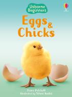 Eggs and Chicks di Fiona Patchett edito da Usborne Publishing Ltd