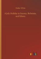 A July Holiday in Saxony, Bohemia, and Silesia di Walter White edito da Outlook Verlag