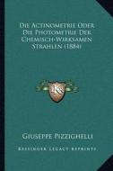 Die Actinometrie Oder Die Photometrie Der Chemisch-Wirksamen Strahlen (1884) di Giuseppe Pizzighelli edito da Kessinger Publishing