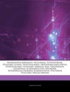 Neuroendocrinology, Including: Testoster di Hephaestus Books edito da Hephaestus Books
