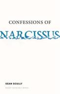 Confessions of Narcissus di Sean Scully edito da DALKEY ARCHIVE PR