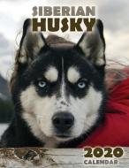 The Siberian Husky 2020 Calendar di Over the Wall Dogs edito da Over the Wall Dogs