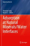 Adsorption at Natural Minerals/Water Interfaces edito da Springer International Publishing