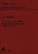 Entstehung betrieblicher Weiterbildungsstrukturen im Dritten Reich di Heinz Müglich edito da Lang, Peter GmbH
