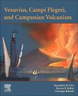Vesuvius, Campi Flegrei, and Campanian Volcanism edito da ELSEVIER