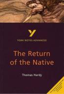 The Return Of The Native: York Notes Advanced di Kathryn Simpson edito da Pearson Education Limited