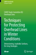 Techniques for Protecting Overhead Lines in Winter Conditions di William A. Chisholm, Masoud Farzaneh edito da Springer International Publishing