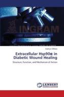 Extracellular Hsp90a in Diabetic Wound Healing di Kathryn O'Brien edito da LAP Lambert Academic Publishing