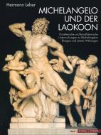 Michelangelo und der Laokoon di Hermann Leber edito da Schnell und Steiner