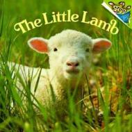 The Little Lamb di Judy Dunn, Phoebe Dunn edito da Random House Books for Young Readers