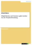 Möglichkeiten und Grenzen agiler Ansätze bei der Projektabwicklung di Erhard Marro edito da GRIN Publishing