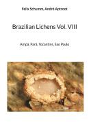 Brazilian Lichens Vol. VIII di Felix Schumm edito da Books on Demand