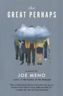 The Great Perhaps di Joe Meno edito da W W NORTON & CO