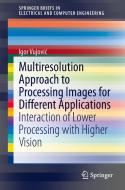Multiresolution Approach to Processing Images for Different Applications di Igor Vujovic edito da Springer-Verlag GmbH