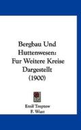 Bergbau Und Huttenwesen: Fur Weitere Kreise Dargestellt (1900) di Emil Treptow, F. Wust, W. Borchers edito da Kessinger Publishing