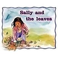 Rigby PM Stars: Leveled Reader Bookroom Package Magenta (Levels 2-3) Sally and the Leaves di Various, Rigby edito da Rigby