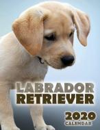 Labrador Retriever 2020 Calendar di Over the Wall Dogs edito da LIGHTNING SOURCE INC