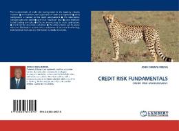 CREDIT RISK FUNDAMENTALS di JOHN CHIBAYA MBUYA edito da LAP Lambert Acad. Publ.