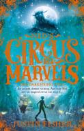 Ned's Circus of Marvels 3. The Darkening King di Justin Fisher edito da Harper Collins Publ. UK