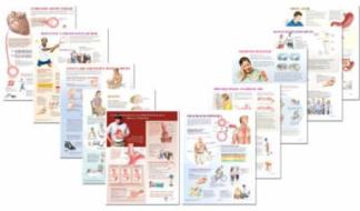 Netter Clinical Charts di Frank H. Netter edito da Elsevier - Health Sciences Division