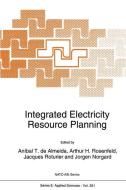 Integrated Electricity Resource Planning edito da Springer Netherlands