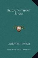 Bricks Without Straw di Albion Winegar Tourgee edito da Kessinger Publishing