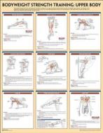 Bodyweight Strength Training Poster: Upper Body di Human Kinetics edito da Human Kinetics Publishers