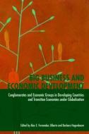 Big Business and Economic Development di Alex E. Fernández Jilberto edito da Routledge