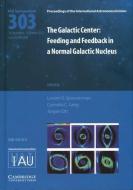 The Galactic Center (IAU S303) di Lor¿ Sjouwerman edito da Cambridge University Press