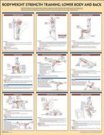 Bodyweight Strength Training Poster: Lower Body and Back di Human Kinetics edito da Human Kinetics Publishers