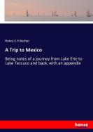 A Trip to Mexico di Henry C. R Becher edito da hansebooks