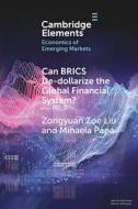 Can BRICS De-dollarize The Global Financial System? di Zongyuan Zoe Liu, Mihaela Papa edito da Cambridge University Press